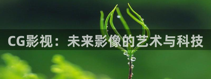 红叶影院免费观看电视剧：CG影视：未来影像的艺术与科技