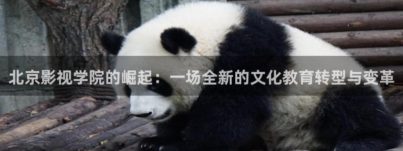 红叶影城：北京影视学院的崛起：一场全新的文化教育转型与变革