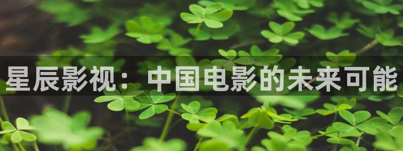 红叶影视完整版：星辰影视：中国电影的未来可能