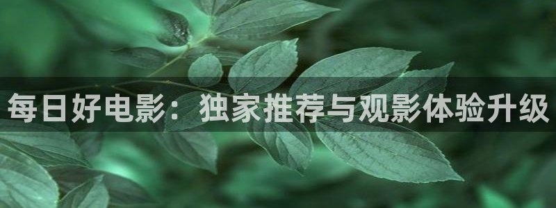 红叶电影院今日影讯：每日好电影：独家推荐与观影体验升级