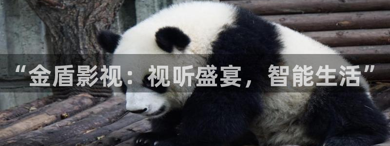 红叶影院免费观看电视剧：“金盾影视：视听盛宴，智能生活”