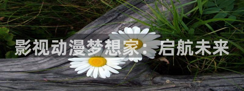六安红叶电影院今日影讯：影视动漫梦想家：启航未来