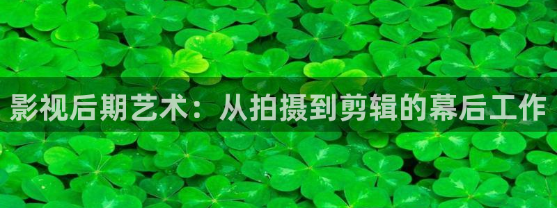 红叶影视app官方下载：影视后期艺术：从拍摄到剪辑的幕后工作