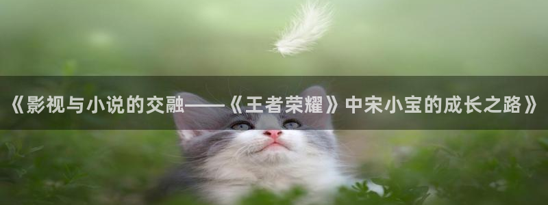 红叶电影院今日影讯：《影视与小说的交融——《王者荣耀》中宋小宝的成长之路》
