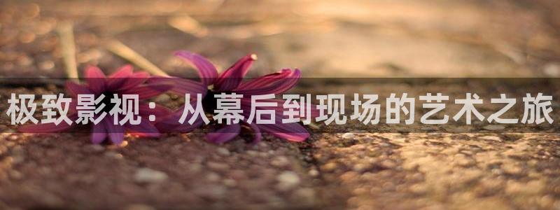 西安红叶影城：极致影视：从幕后到现场的艺术之旅